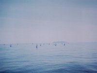 At last....The fishing sailboats in Vung Tau Harbor.