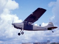 One of our L-19&#39;s....Note the &#34;Zoomy Bird&#34; Road Runner painted of the plane&#39;s rudder.