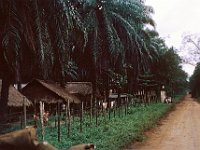 Road to An Loc - 1967
