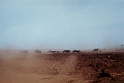 On convoy